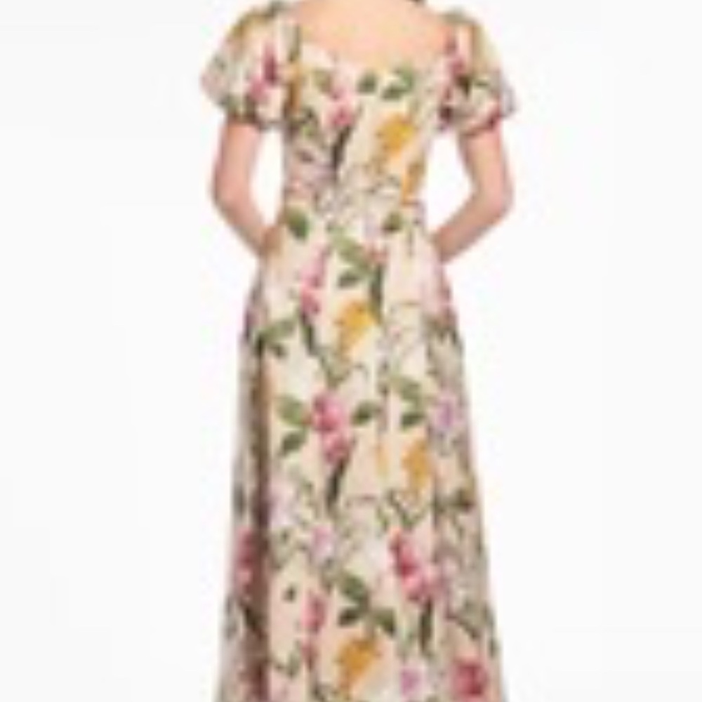 Brand new with tags Sachin and Babi Magnolia Dress size 12 - Picture 2 of 3